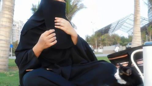 吃瓜娱乐君v,揭秘娱乐圈幕后故事，带你领略明星真实生活